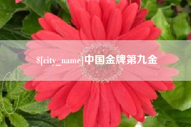 包头中国金牌第九金