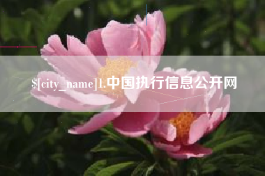 包头1.中国执行信息公开网