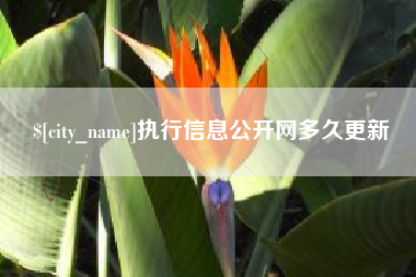 包头执行信息公开网多久更新