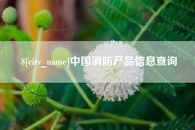 包头中国消防产品信息查询
