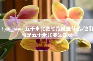 包头五千米比赛领跑员是什么-他们就是五千米比赛领跑员
