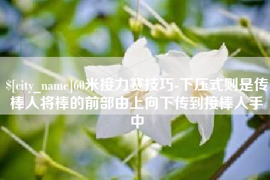 包头60米接力赛技巧-下压式则是传棒人将棒的前部由上向下传到接棒人手中