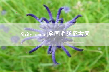 包头全国消防招考网