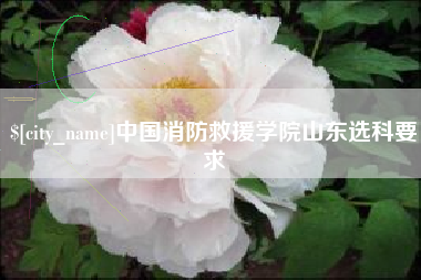 包头中国消防救援学院山东选科要求