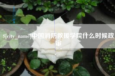 包头中国消防救援学院什么时候政审