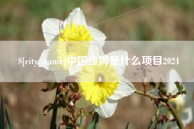 包头中国金牌是什么项目2024