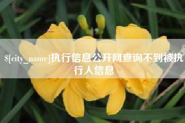 包头执行信息公开网查询不到被执行人信息