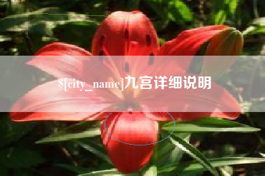 包头九宫详细说明