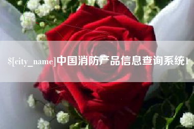 包头中国消防产品信息查询系统1