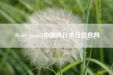 包头中国执行执行信息网