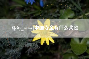 包头中国夺金有什么奖励