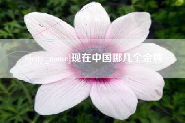 包头现在中国哪几个金牌