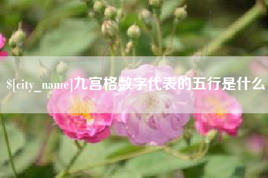 包头九宫格数字代表的五行是什么