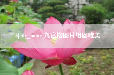 包头九宫格图片组图唯美