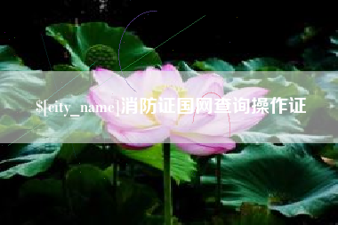 包头消防证国网查询操作证