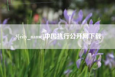 包头中国执行公开网下载
