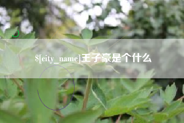 包头王子豪是个什么