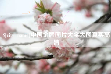 包头中国金牌图片大全大图真实高清