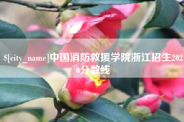 包头中国消防救援学院浙江招生2020分数线