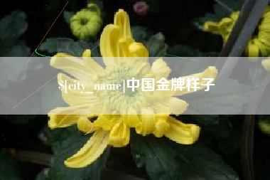 包头中国金牌样子