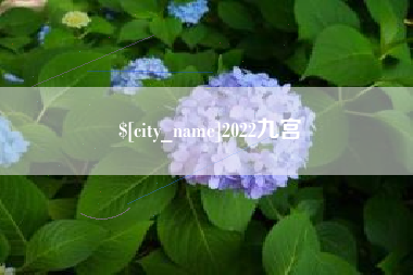包头2022九宫