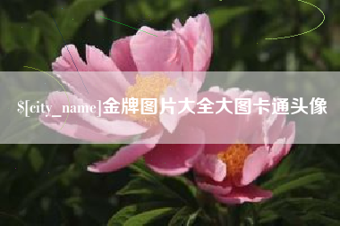 包头金牌图片大全大图卡通头像