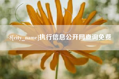 包头执行信息公开网查询免费