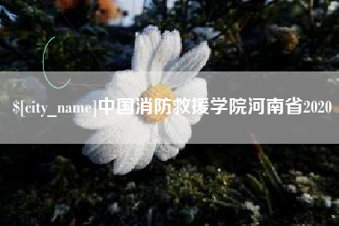 包头中国消防救援学院河南省2020